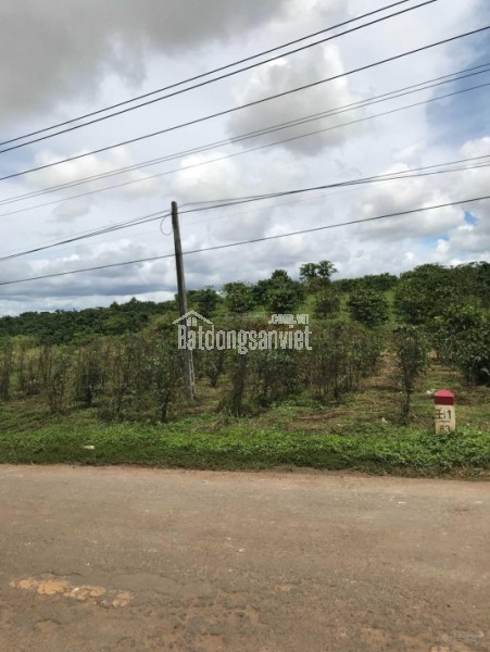 Bán đất 2 MT QL 28B Đức Trọng, Lâm Đồng, 10 x 50m, (200)m2 TC, giá 3,8 tỷ