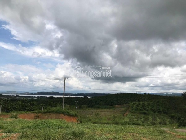 Bán đất MT đường Cầu Mên xã Bình An Long Thành 1678m2 giá 15,1tỷ