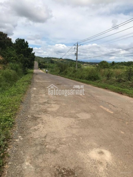 Bán đất MT đường Cầu Mên xã Bình An Long Thành 1678m2 giá 15,1tỷ