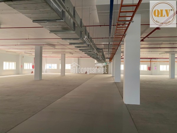 CHO THUÊ NHÀ XƯỞNG CAO TẦNG KCX LINH TRUNG I – THỦ ĐỨC, TP.HCM – 20.800m²
