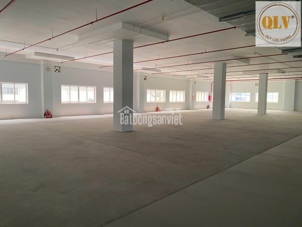 CHO THUÊ NHÀ XƯỞNG CAO TẦNG KCX LINH TRUNG I – THỦ ĐỨC, TP.HCM – 20.800m²