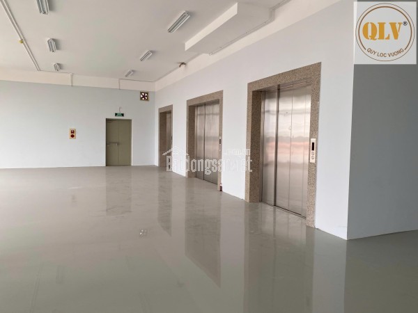 CHO THUÊ NHÀ XƯỞNG CAO TẦNG KCX LINH TRUNG I – THỦ ĐỨC, TP.HCM – 20.800m²