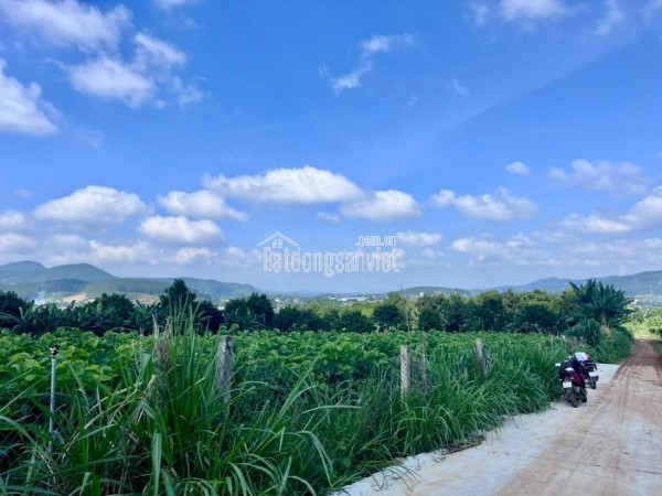 Bán Đất Nam Ban 502m² Thổ Cư 200m² – Sở Hữu View Toàn Cảnh Nam Ban, Đón Trọn Giá Trị Sống Ven Đà Lạ