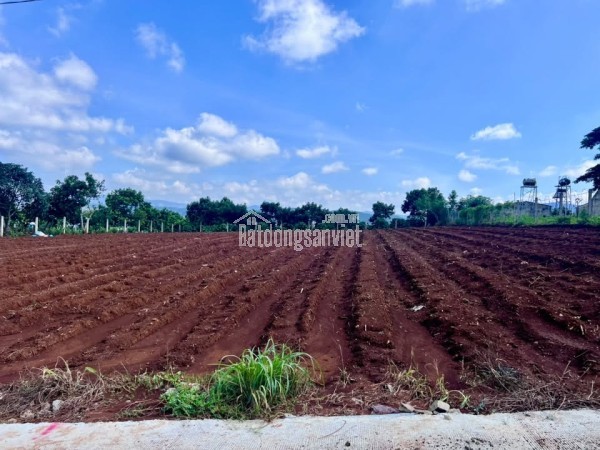 Bán Đất Nam Ban 502m² Thổ Cư 200m² – Sở Hữu View Toàn Cảnh Nam Ban, Đón Trọn Giá Trị Sống Ven Đà Lạ
