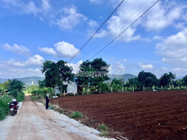 Bán Đất Nam Ban 502m² Thổ Cư 200m² – Sở Hữu View Toàn Cảnh Nam Ban, Đón Trọn Giá Trị Sống Ven Đà Lạ