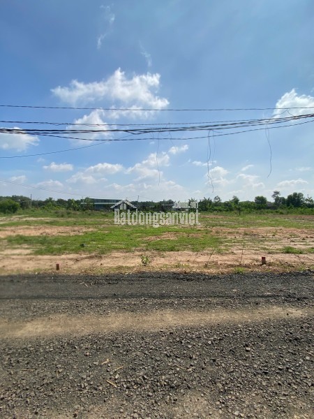 Đất Thành Tâm Chơn Thành 330m2 Mặt Đường Ô Tô – Sổ Sẵn 899 Triệu