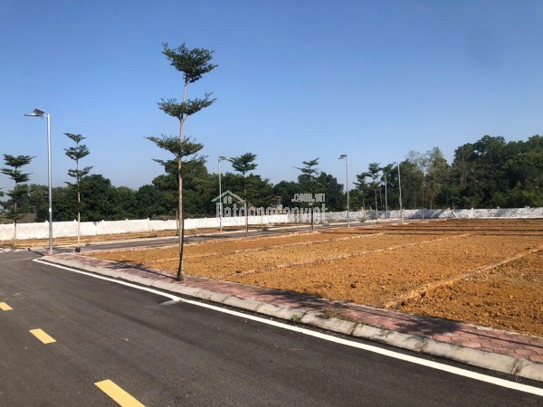 CẦN TIỀN KINH DOANH, CHIẾT KHẤU SÂU LÔ ĐẤT PHÚ CÁT NGÃ TƯ VAI RÉO