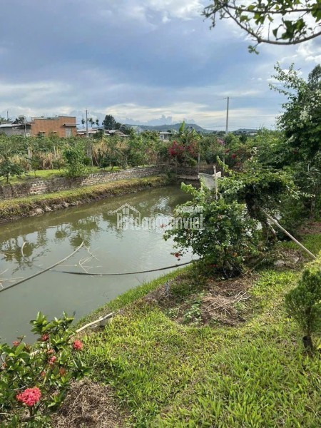 Bán 3120m2 đất xã Tân Hội Đức Trọng Lâm Đồng 4,2 tỷ