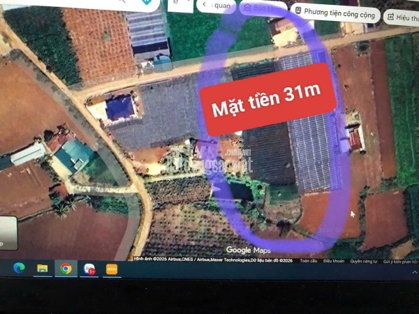 Bán 3120m2 đất xã Tân Hội Đức Trọng Lâm Đồng 4,2 tỷ