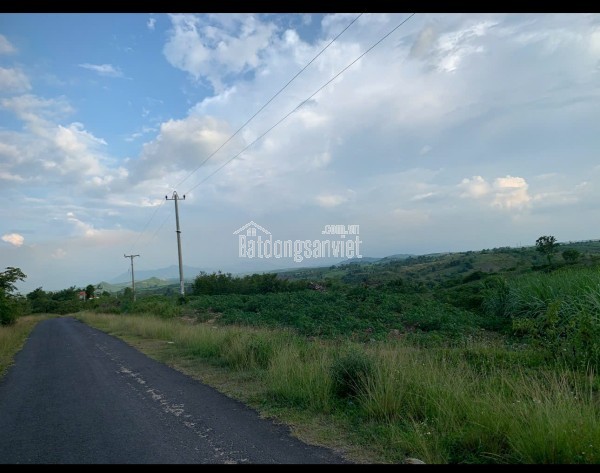 BÁN 35.000M² ĐẤT RẪY MẶT TIỀN ĐƯỜNG NHỰA – EA SÔ, EA KAR, ĐẮK LẮK