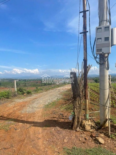 Bán 11140m2 đất N\'Thôn Hạ Đức Trọng Lâm Đồng 11 tỷ