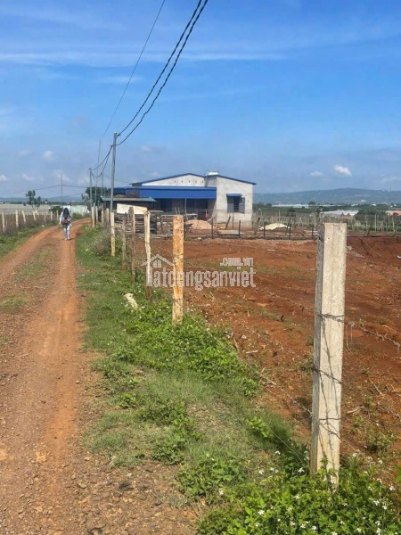 Bán 11140m2 đất N\'Thôn Hạ Đức Trọng Lâm Đồng 11 tỷ