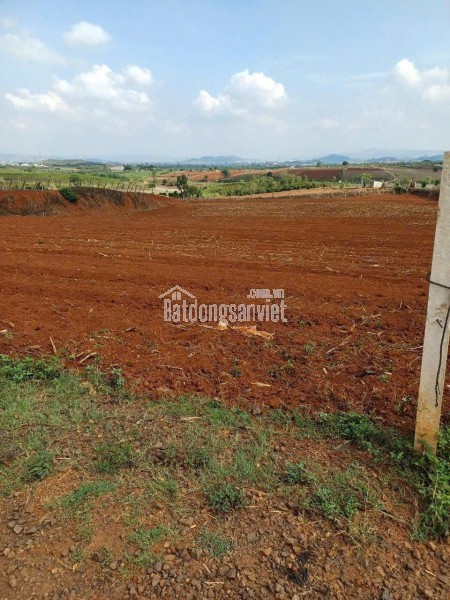 Bán 11140m2 đất N\'Thôn Hạ Đức Trọng Lâm Đồng 11 tỷ