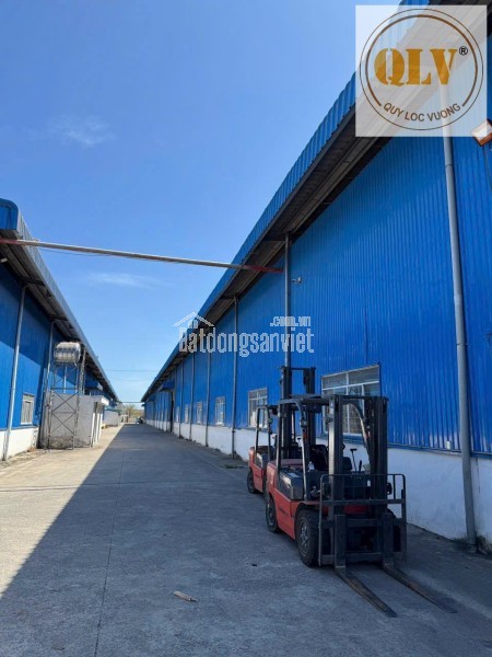Cho thuê nhà xưởng khuôn viên lớn – Phú Giáo, Bình Dương – 23.073m²