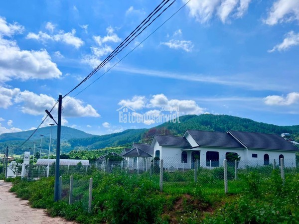 Bán Đất Nền An Sơn Villas 239m² Thổ Cư 150m² – Cơ Hội Đầu Tư Giá Tốt Tại Khu Nghỉ Dưỡng Ven Đà Lạt