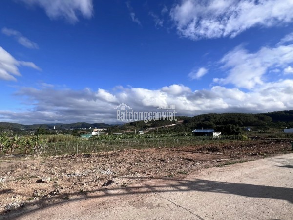 Bán Đất Nền An Sơn Villas 239m² Thổ Cư 150m² – Cơ Hội Đầu Tư Giá Tốt Tại Khu Nghỉ Dưỡng Ven Đà Lạt
