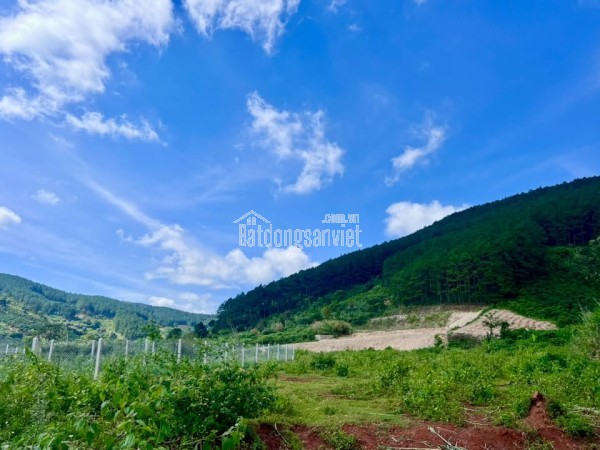 Bán Đất Nền An Sơn Villas 239m² Thổ Cư 150m² – Cơ Hội Đầu Tư Giá Tốt Tại Khu Nghỉ Dưỡng Ven Đà Lạt