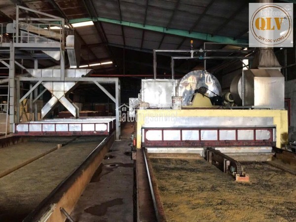 Bán nhà máy chế biến mủ cao su – mặt tiền ĐT741, tỉnh Bình Phước – 20.000m²