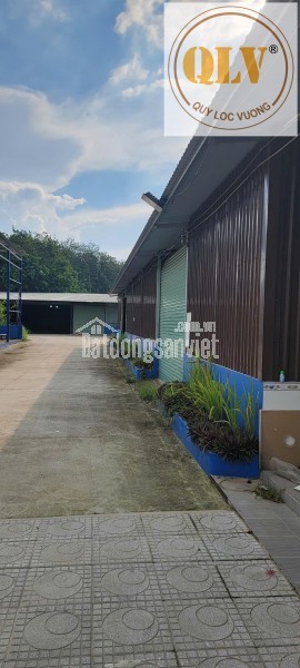 Cho thuê nhà xưởng khuôn viên lớn – Phú An, Bến Cát, Bình Dương – 4.000m²