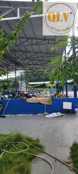 Cho thuê nhà xưởng khuôn viên lớn – Phú An, Bến Cát, Bình Dương – 4.000m²