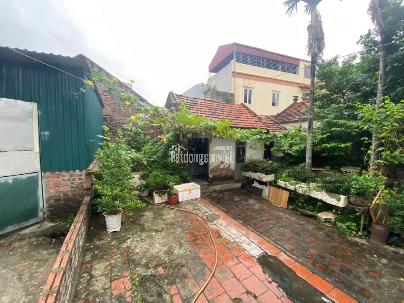61m2 ĐẤT, GIANG XÁ, TRẠM TRÔI, TT HOÀI ĐỨC, XÂY Ở MUA ĐẦU TƯ, chỉ 4.9 tỷ