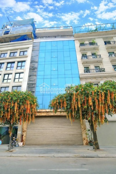 🔅 BÁN TÒA VĂN PHÒNG MẶT PHỐ THÁI THỊNH 165M2 8 TẦNG MT 6.5M, CHỈ 105 TỶ 🔅