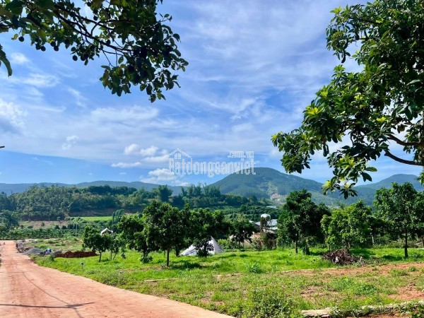 Bán Đất Ven Đà Lạt 322m² Ngang 12m – Thổ Cư 259m², Hạ Tầng Hoàn Thiện, Sẵn Sàng Xây Dựng