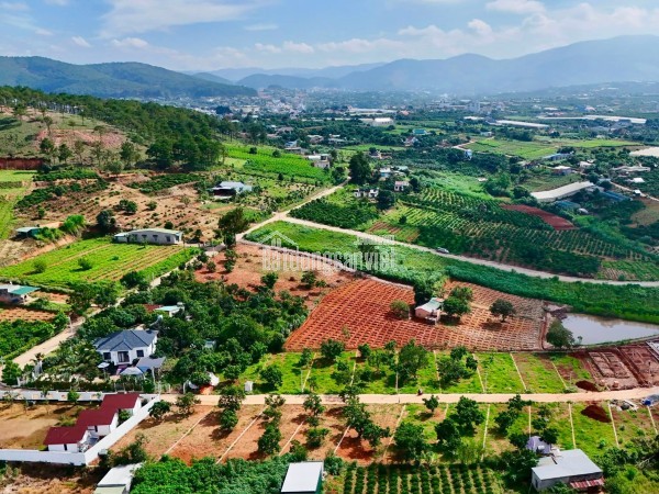 Bán Đất Ven Đà Lạt 322m² Ngang 12m – Thổ Cư 259m², Hạ Tầng Hoàn Thiện, Sẵn Sàng Xây Dựng