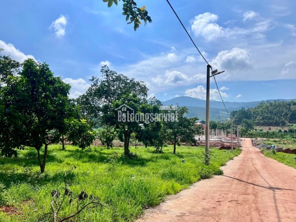 Bán Đất Ven Đà Lạt 322m² Ngang 12m – Thổ Cư 259m², Hạ Tầng Hoàn Thiện, Sẵn Sàng Xây Dựng