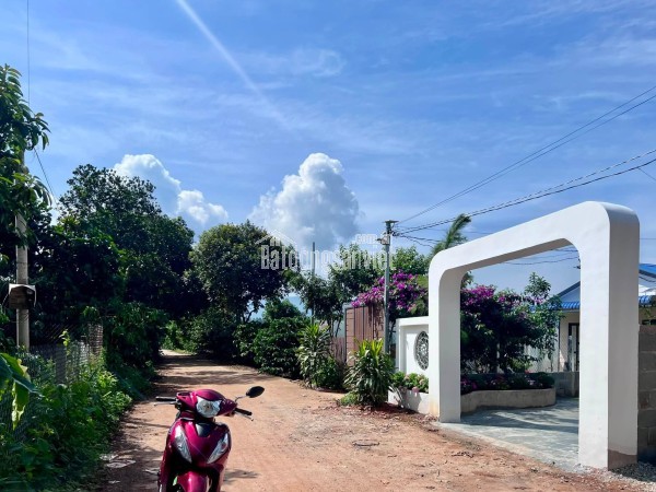 Bán Nhà Ven Đà Lạt 160m² Thổ Cư 100m² – Không Gian Sống Bình Yên Giữa Thiên Nhiên Trong Lành