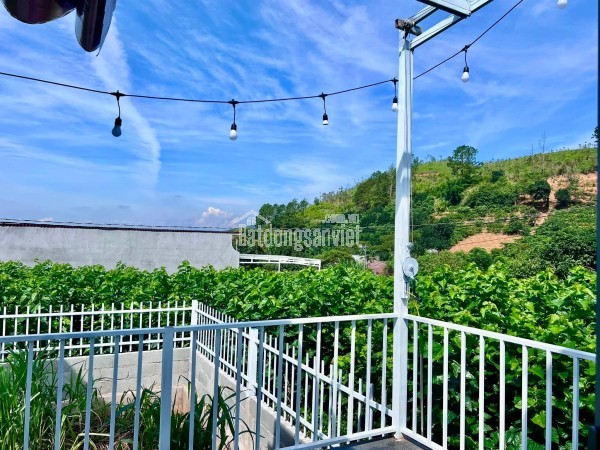Bán Nhà Ven Đà Lạt 160m² Thổ Cư 100m² – Không Gian Sống Bình Yên Giữa Thiên Nhiên Trong Lành