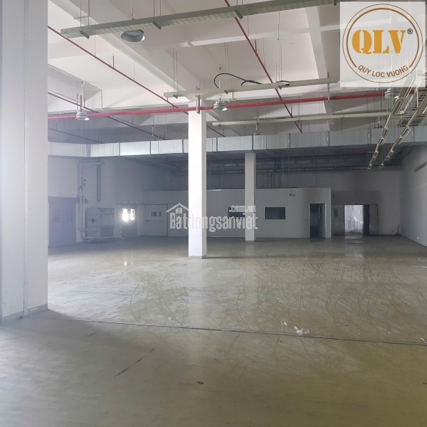 CHO THUÊ NHÀ XƯỞNG 4 TẦNG KCN LONG HẬU, LONG AN – 18.468m²