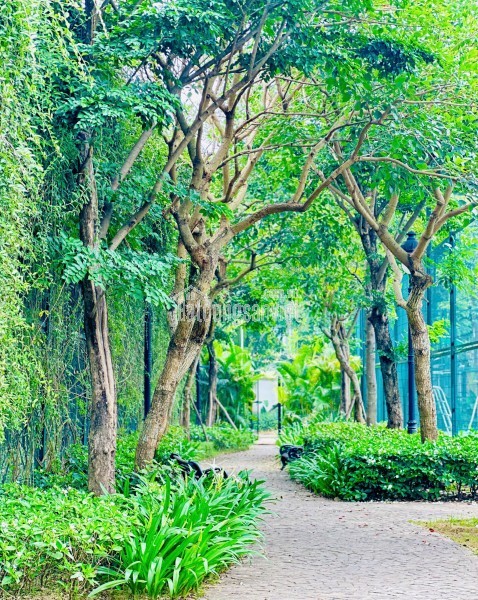 🔥🔥 ƯU ĐÃI CỰC KHỦNG – CHỈ CÒN DUY NHẤT 2 CĂN! 🔥🔥