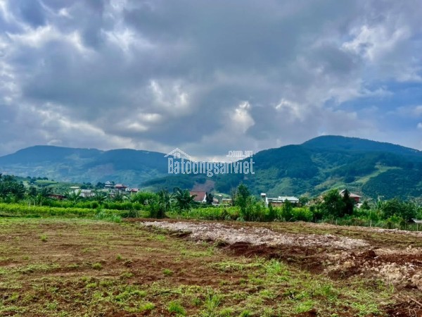 Bán Đất Ven Đà Lạt 466m² Thổ Cư 100m² – View Thoáng, Thế Đất Đẹp, Giá Chỉ 890 Triệu