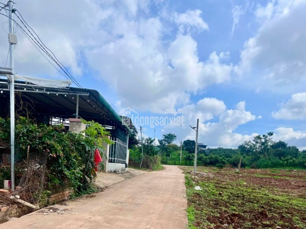 Bán Đất Ven Đà Lạt 466m² Thổ Cư 100m² – View Thoáng, Thế Đất Đẹp, Giá Chỉ 890 Triệu