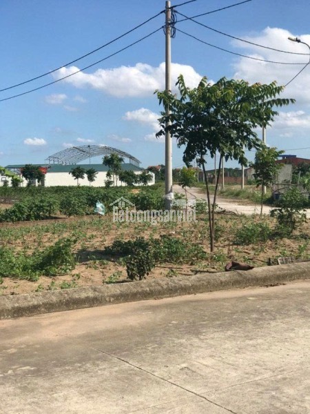 CẦN BÁN 39 M2 ĐÔNG DƯ - BÁT TRÀNG, GIÁ NHỈNH 4.X TỶ, LH 0985865658