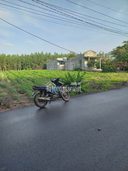CHÍNH CHỦ CẦN BÁN LÔ ĐẤT THỔ CƯ 1976m2 ĐẦU TƯ SINH LỜI