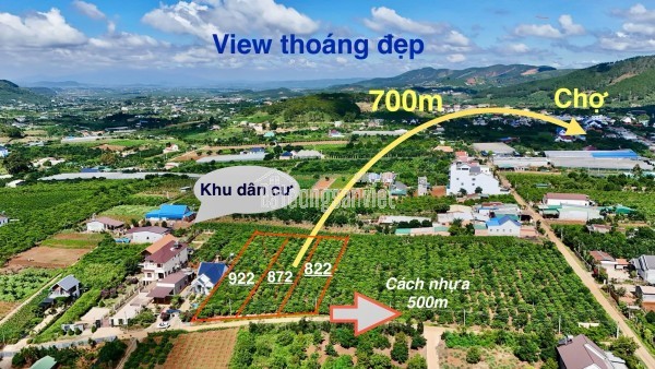 Bán Đất Ven Đà Lạt 872m² Thổ Cư 100m² – View Đồi Núi Đẹp, Giá Chỉ 2,9 Triệu/m²