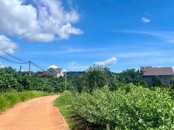 Bán Đất Ven Đà Lạt 872m² Thổ Cư 100m² – View Đồi Núi Đẹp, Giá Chỉ 2,9 Triệu/m²