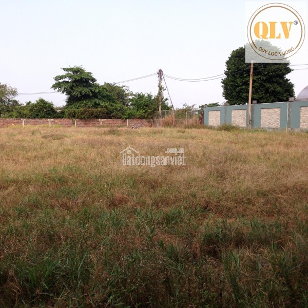 Cho thuê mặt bằng kho bãi – showroom mặt tiền QL13, Thuận An, Bình Dương – 7.298m²