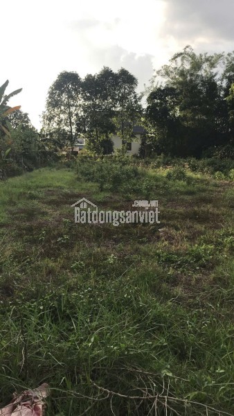 SANG NHƯỢNG PHÒNG TẬP MỚI ĐẸP  – VỊ TRÍ ĐẸP TRUNG TÂM QUẬN 7, LIỀN KỀ PHÚ MỸ HƯNG, TP HỒ CHÍ MINH