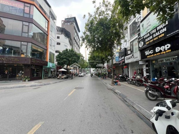 🔅 BÁN MẢNH ĐẤT PHỐ TRƯƠNG CÔNG GIAI, VỈA HÈ Ô TÔ TRÁNH, 242M2 MT 8.1M, CHỈ 122 TỶ 🔅