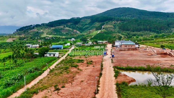 Bán Đất Ven Đà Lạt 309m² Thổ Cư 209m² – Hai Mặt Tiền Giữa Thung Lũng Thông Xanh, Giá Chỉ 1 Tỷ 150