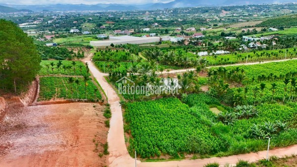 Bán Đất Ven Đà Lạt 309m² Thổ Cư 209m² – Hai Mặt Tiền Giữa Thung Lũng Thông Xanh, Giá Chỉ 1 Tỷ 150