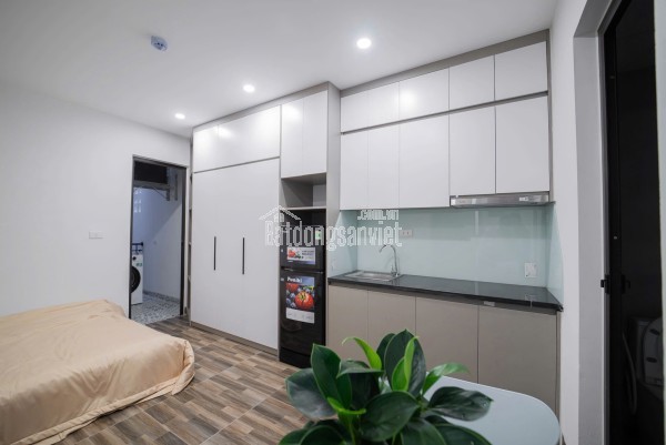 Bán 500m2 Đất Vườn Tại Đường ĐT816, Xã Bình Đức, Huyện Bến Lức, Long An