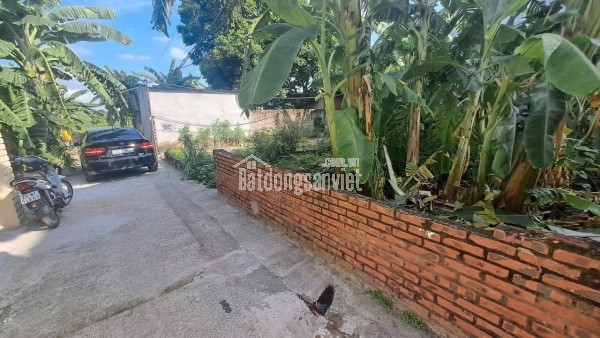 BÁN 44 M2 ĐẤT KIM HỒ – THUẬN AN, GIA LÂM – Ô TÔ ĐỖ CỬA – ĐƯỜNG THÔNG – GIÁ NHỈNH 3 TỶ