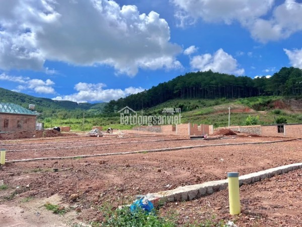 Bán Đất Ven Đà Lạt 542m² Thổ Cư 200m² – Giữa Đồi Thông Xanh, Sẵn Sàng Xây Nhà Vườn Nghỉ Dưỡng
