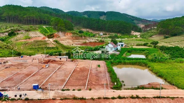 Bán Đất Ven Đà Lạt 542m² Thổ Cư 200m² – Giữa Đồi Thông Xanh, Sẵn Sàng Xây Nhà Vườn Nghỉ Dưỡng