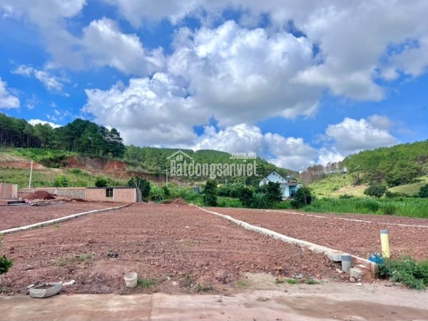 Bán Đất Ven Đà Lạt 542m² Thổ Cư 200m² – Giữa Đồi Thông Xanh, Sẵn Sàng Xây Nhà Vườn Nghỉ Dưỡng