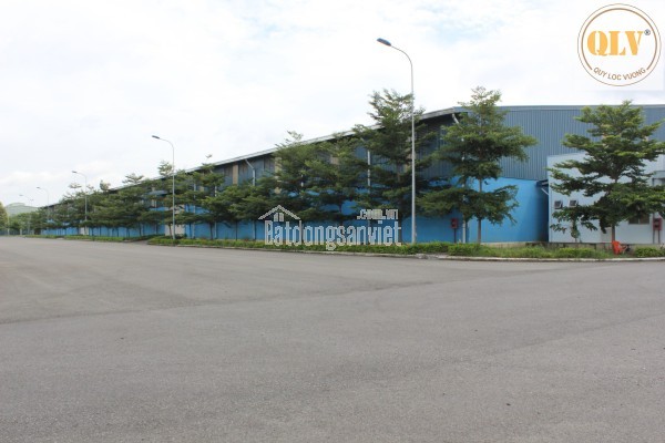 CHO THUÊ KHO BÃI – KCN PHÚ MỸ, BÀ RỊA – VŨNG TÀU – 30.000m²